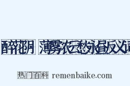 醉花阴·薄雾浓云愁永昼反义词是什么意思的图片